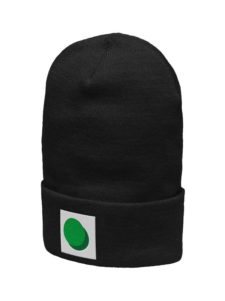 ZURC Blank WHITE + GREEN LOGO Embroidered Beanie, Black, photo 2